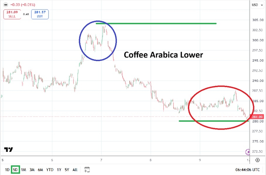 Gráfico do café arábica. Fonte: TradingView. 12 a 16 outubro 2026